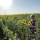 ���� ��������, ������, 64 ���� - ��������� 16 ���� 2020 � ������ ���� ����������