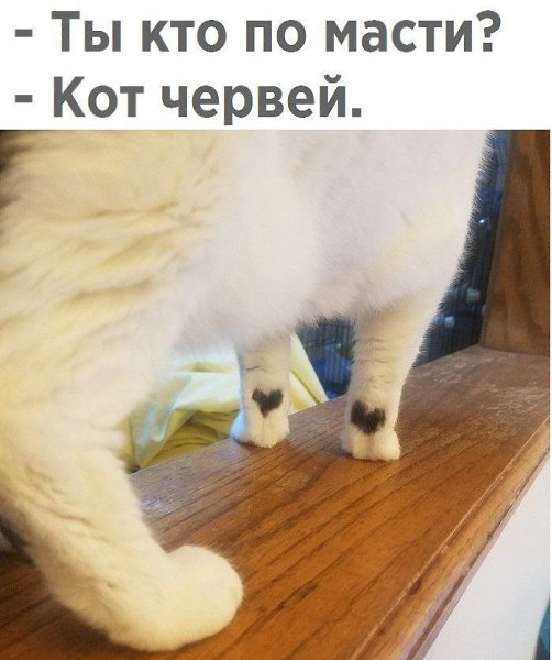 ������� - 25 ������� 2020 � 18:52