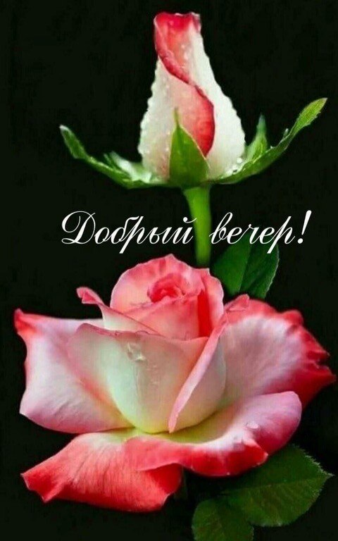   ,    . - 11  2020  19:48 - 4