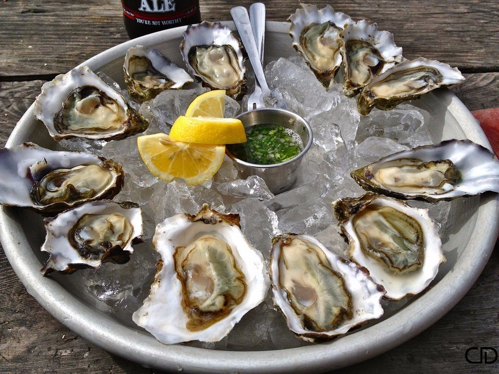Сервировка устриц. Устрицы как их едят. Устрица юта бич. Устрица муроцу. Красивая устрица.