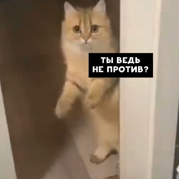   - 7