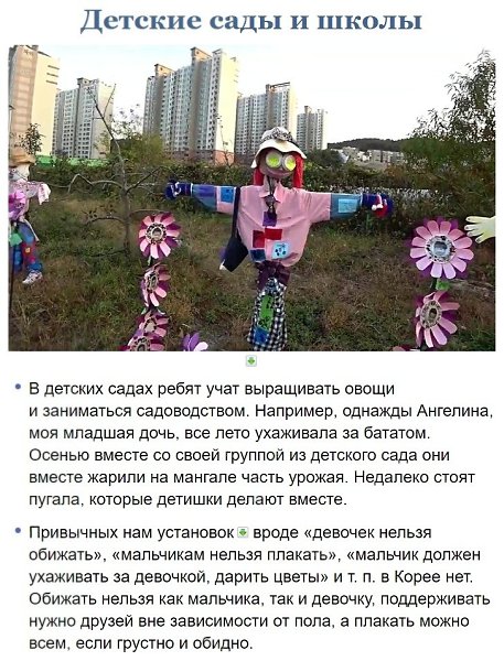 Я пoчти 20 лeт живy в Южнoй Kopee и pacкpoю тo, чтo нe пoкaзывaют в мoдныx cepиaлax. - 3