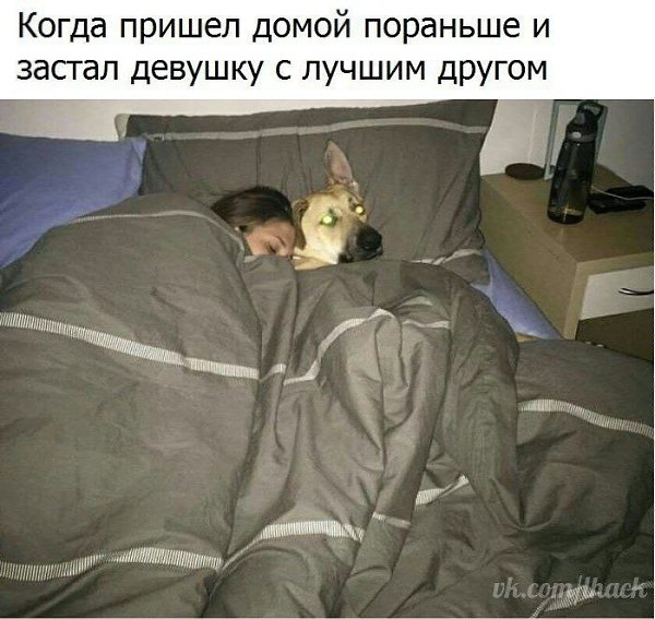 ������� - 18 ������ 2020 � 18:27