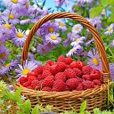 ���� Irena, ����������� ����, 41 ��� - ��������� 30 ���� 2020