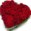 ���� �����, ������, 41 ��� - ��������� 26 ���� 2020 � ������ ���������