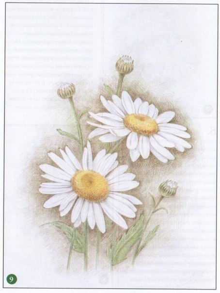��c�e� po�a���.� ���������� ����