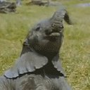 ���� ����������, ������-������, 54 ���� - ��������� 21 ����� 2020