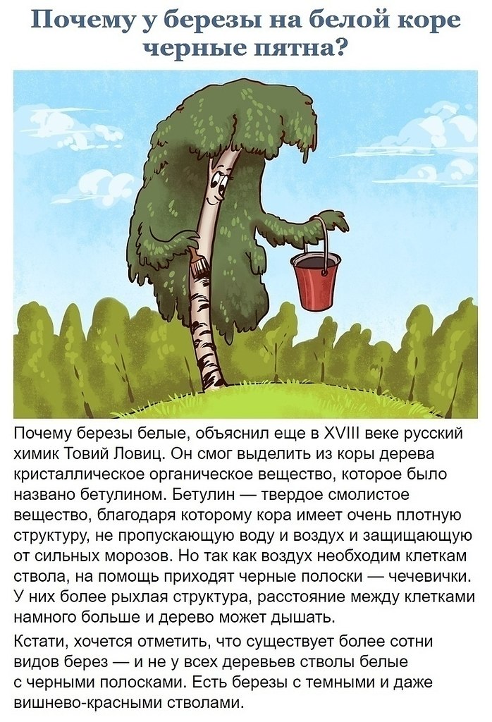  ,       . - 6