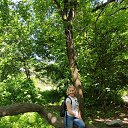 ���� �����, ������, 66 ��� - ��������� 25 ��� 2020 � ������ ���� ����������