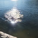 ���� ����, �����-������� - ��������� 16 ���� 2020 � ������ ���� ����������
