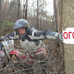 ��������, �����������, 48 ���