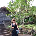 ���� ���������� �� ������� ���� ����������