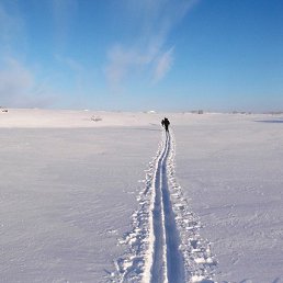 ���� ������, ��������, 65 ��� - ��������� 1 ������� 2020