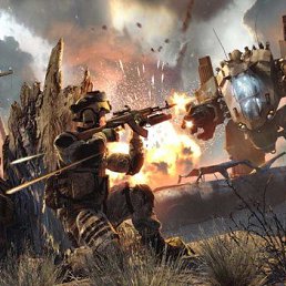 �������, ����-���������, 29 ���