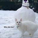 ���� ������, �����, 53 ���� - ��������� 30 ������ 2020 � ������ ���� ����������