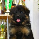  Muxamad, , 41  -  24  2020    