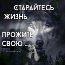���� �����, �����, 64 ���� - ��������� 11 ���� 2020 � ������ ������