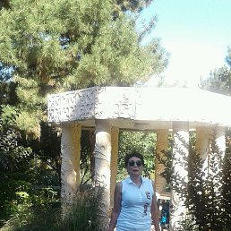 �����, ������, 65 ���