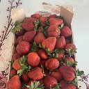 ���� Safi, �������, 46 ��� - ��������� 24 ������ 2020 � ������ ���� ����������
