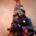 ���� ���������, ������������, 47 ��� - ��������� 29 ������ 2020 � ������ ���� ����������