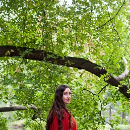 �����, ������������, 43 ����