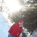 ���� �����, �����������, 36 ��� - ��������� 12 ������ 2020 � ������ ���� ����������