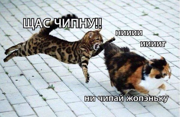 ������� - 12 ������ 2020 � 19:13