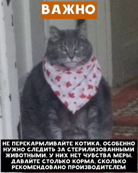     ! - 2