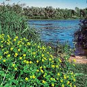 ���� ���������, �������, 57 ��� - ��������� 18 ���� 2020 � ������ ������ ��������