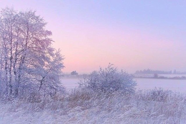 ������ ������� ������ | ����������� - 24 ����� 2020 � 19:06 - 5