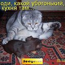 ���� ������, �����-���������, 67 ��� - ��������� 29 ������� 2020 � ������ ������ ��������