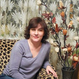 �����, ������, 56 ���