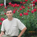 ���� ���������, ������-��-����, 71 ��� - ��������� 22 ������ 2020 � ������ ���� ����������