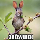 ���� ������, ������, 35 ��� - ��������� 28 ������ 2020