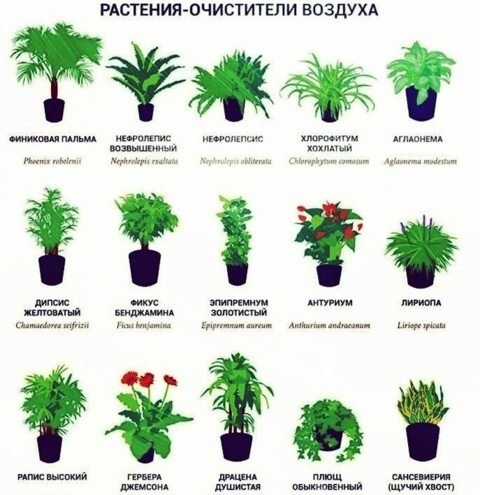 ����� � ��� ���� � ����?