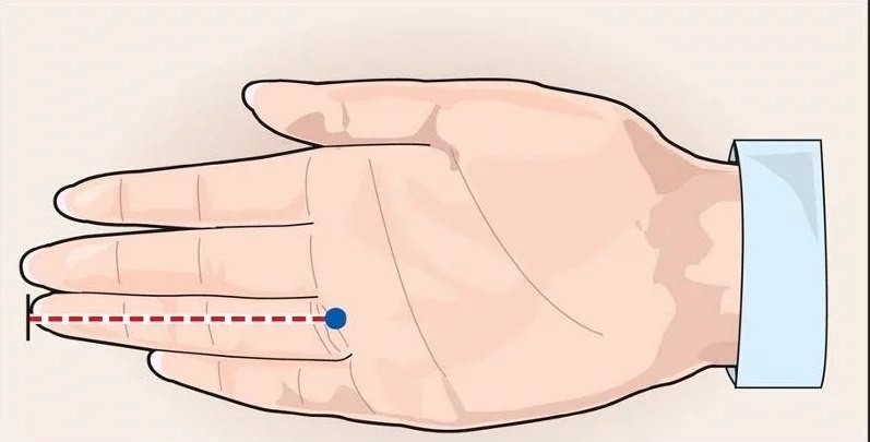 Безымянный палец длиннее мужчины. Измерение длины пальцев. Измерение пальцами рук. Большой палец измерение. Как мерить палец.