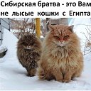 ���� �����, ����������� - ��������� 22 ������� 2020 � ������ ���� ����������