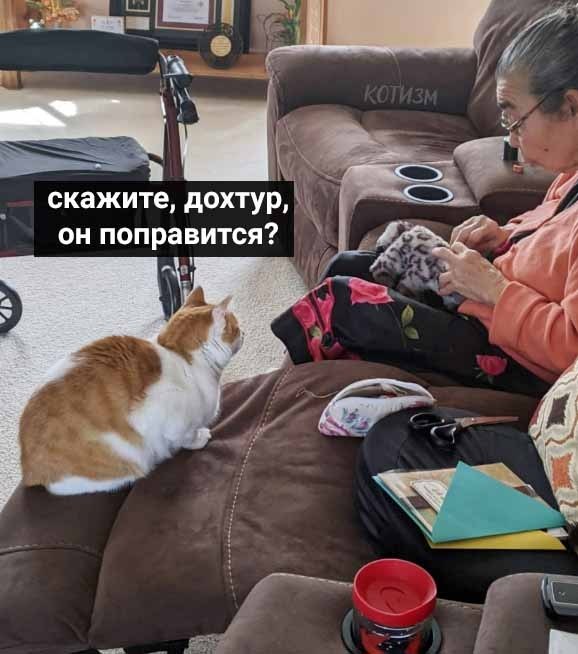  ,       - 2