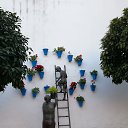 ���� �������, ������ - ��������� 16 ������ 2020 � ������ �������� �� 2020�