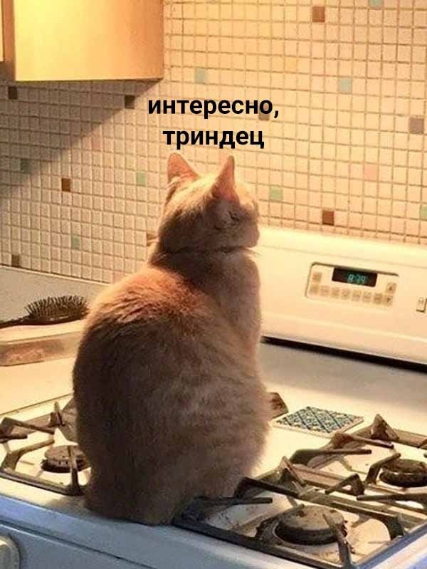    ,       - 2