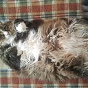 ���� Lissa, �����-���������, 59 ��� - ��������� 9 ���� 2020 � ������ ���� �����