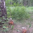 ���� Annushka, ������, 57 ��� - ��������� 4 ���� 2020