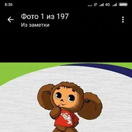 Ը���, ���������, 48 ���