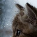 ���� ���������, ��������� - ��������� 21 ������� 2020 � ������ ���� ����������