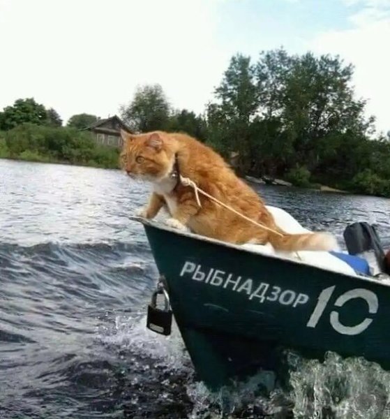 ��������� �� ������.