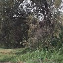 ���� ����, ������, 60 ��� - ��������� 12 ���� 2020 � ������ �������� ����_2019�