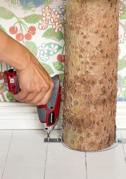 Когда очень любишь своего кота, то и целое дерево можно в квартире поставить) - 3