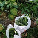 ���� ������, �����-��������� - ��������� 30 ������ 2020 � ������ ���� ����������