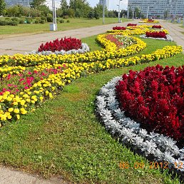 ������, ���������� �����, 48 ���