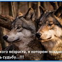 ���� Vitali, ������, 51 ��� - ��������� 20 ��� 2020 � ������ ������